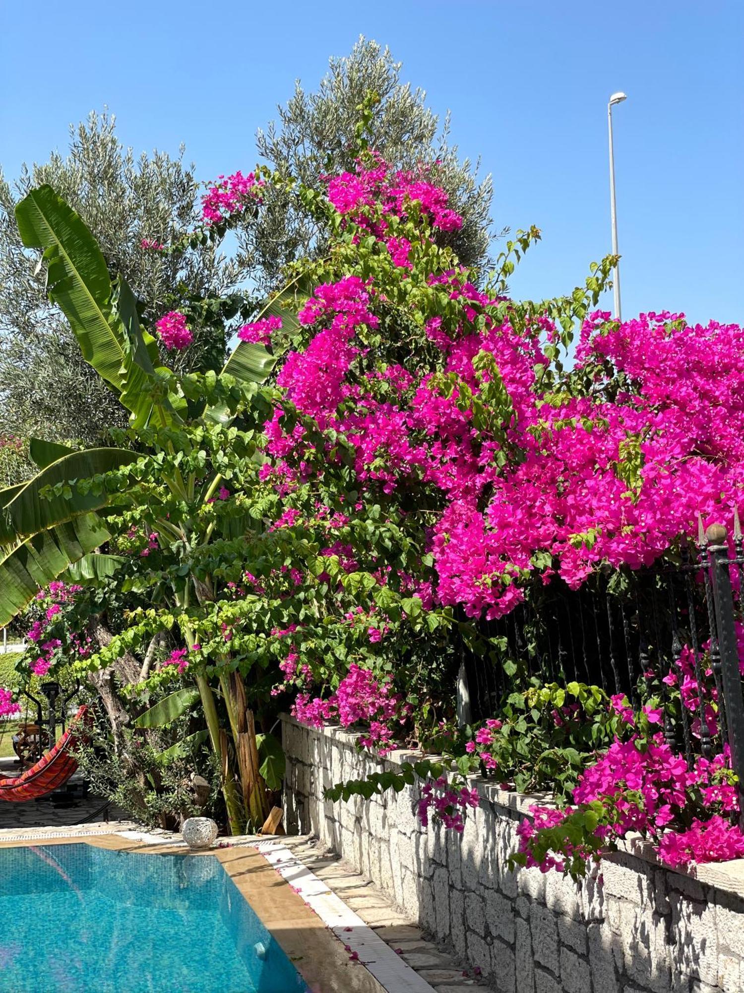Ata Boutique Hotel Çeşme Zewnętrze zdjęcie