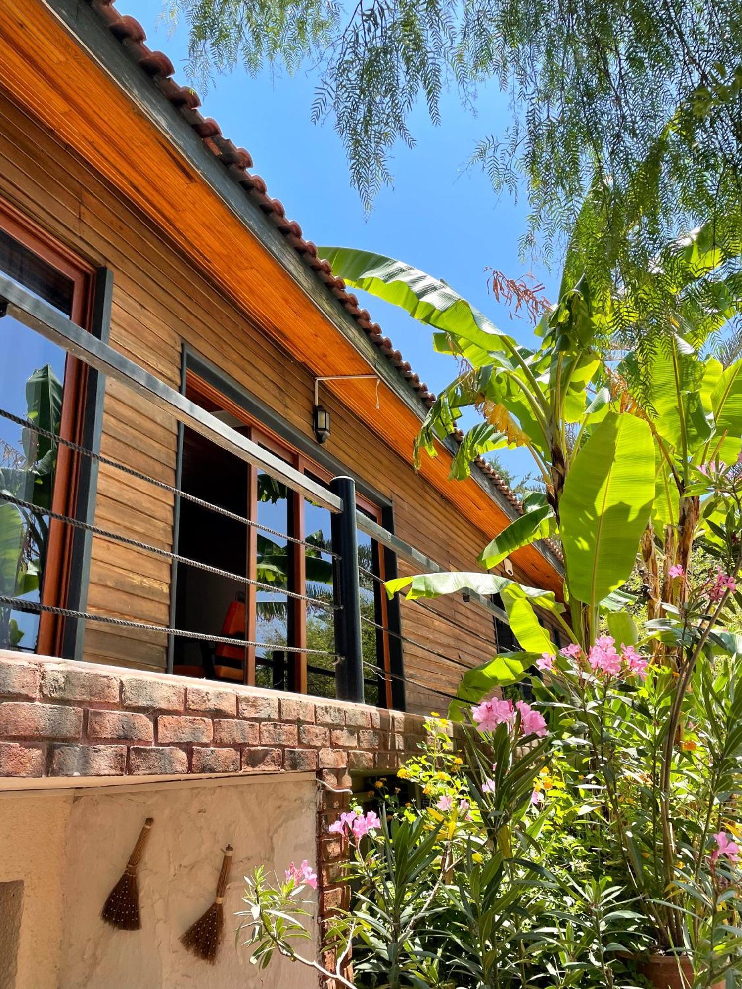 Ata Boutique Hotel Çeşme Zewnętrze zdjęcie