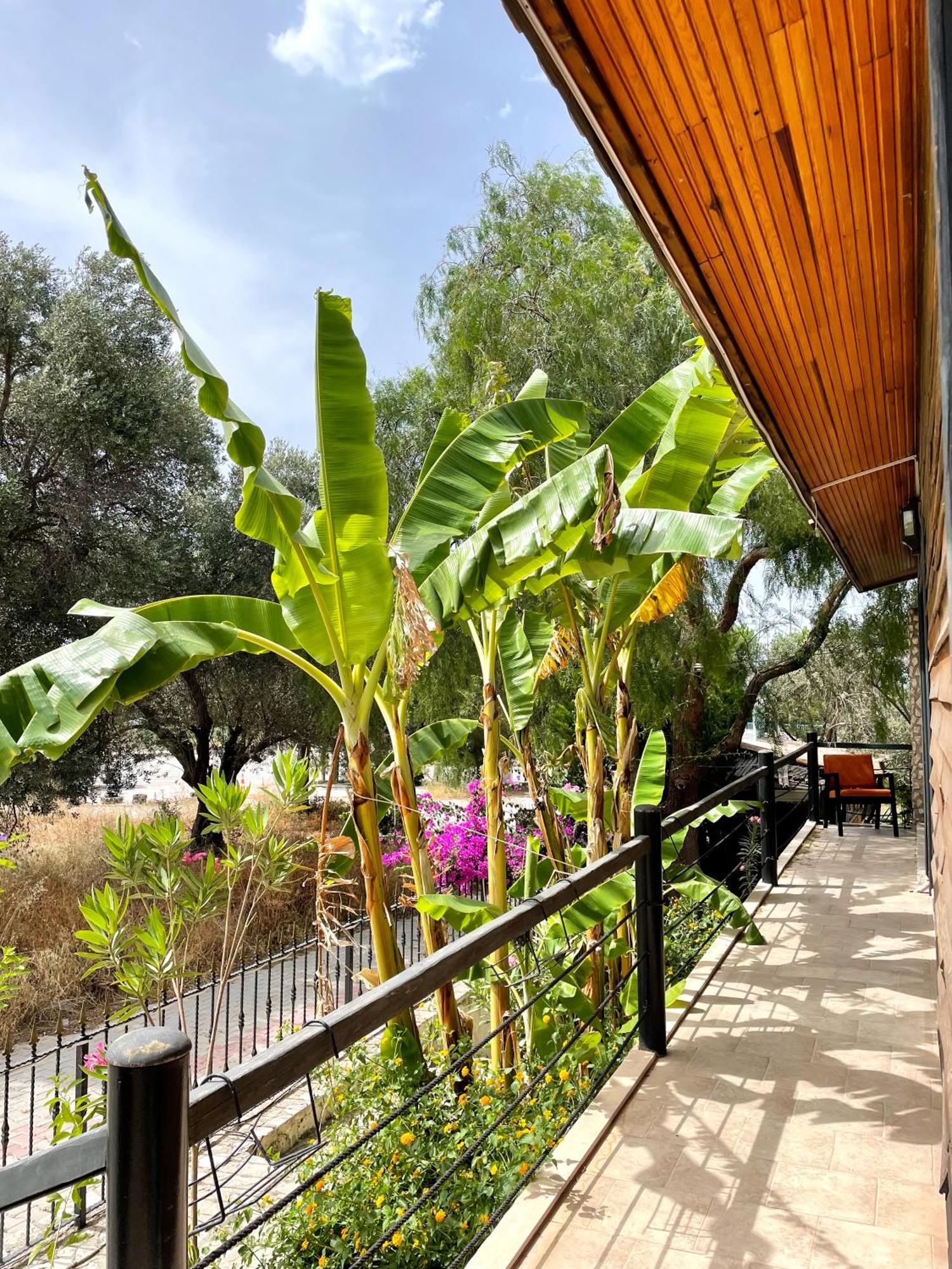 Ata Boutique Hotel Çeşme Zewnętrze zdjęcie